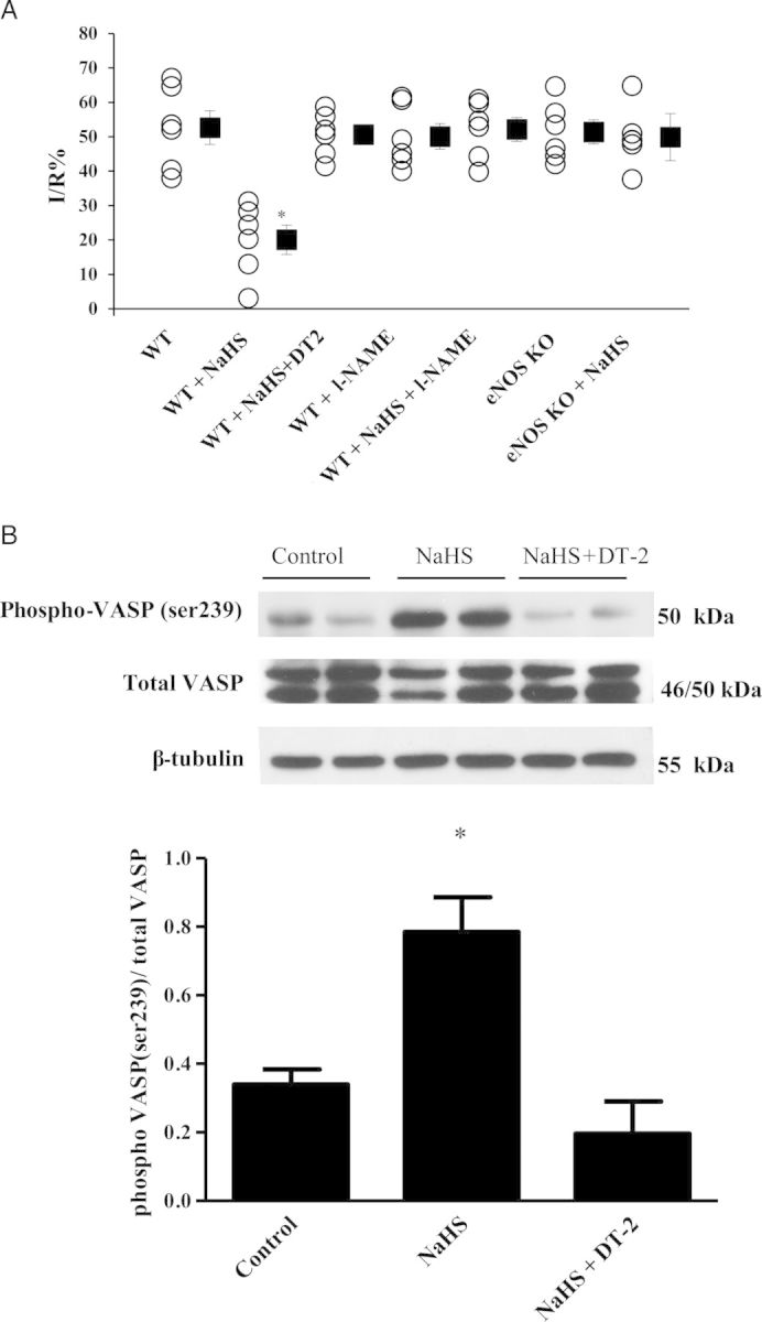 Figure 5