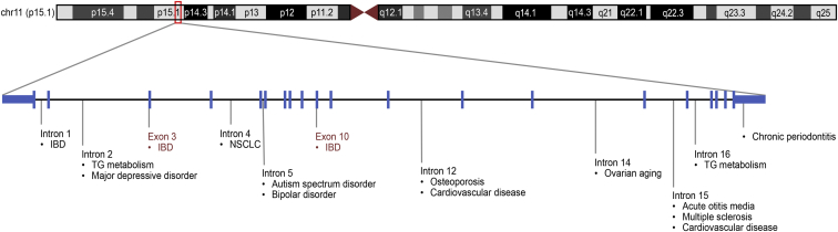 Figure 1