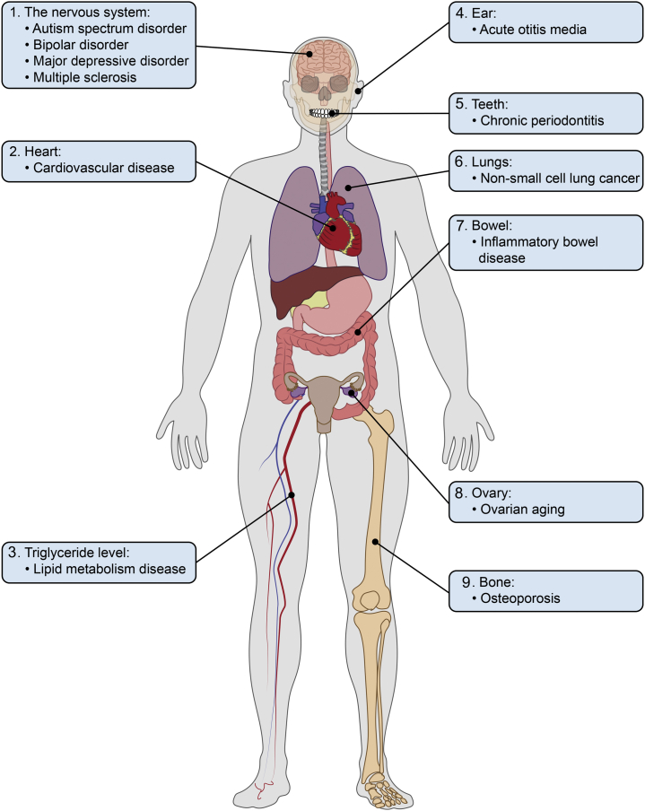 Figure 3