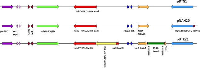 Figure 4.