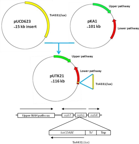 Figure 3.