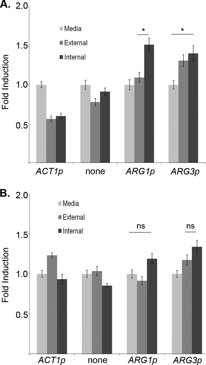 Fig 7