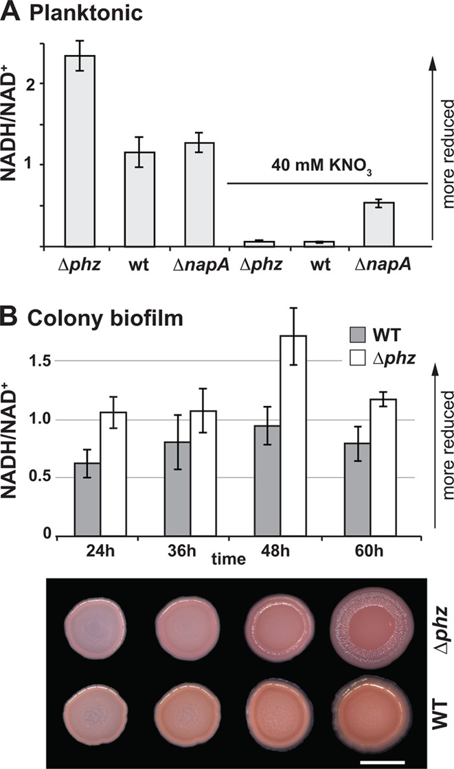 Fig 4