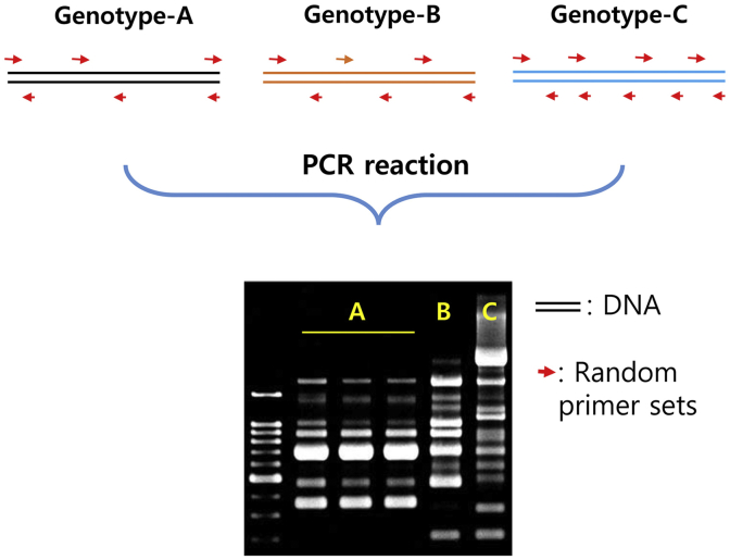 Fig. 2