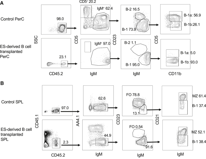 Figure 2