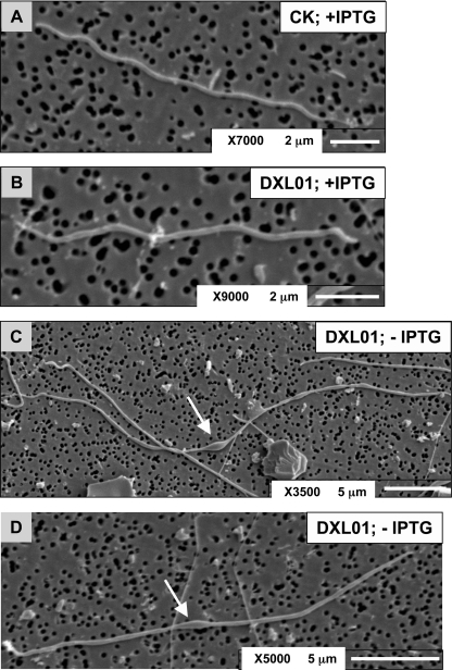 FIG. 7.