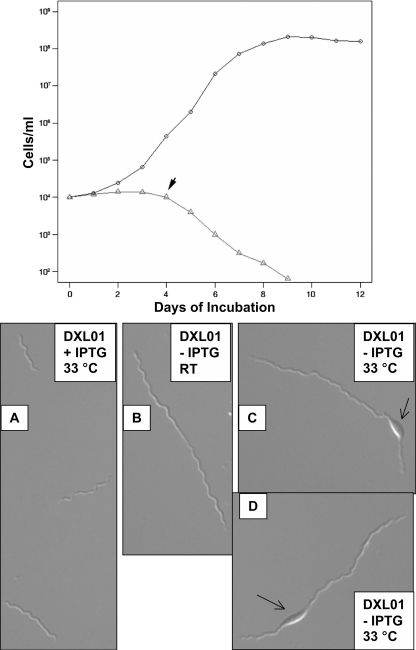 FIG. 6.