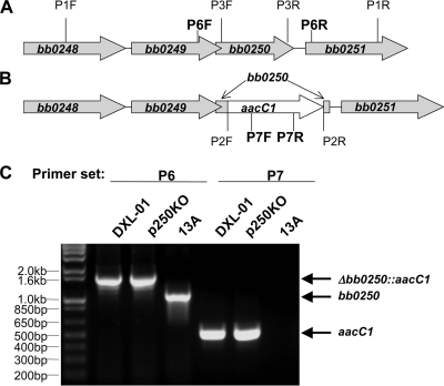 FIG. 5.