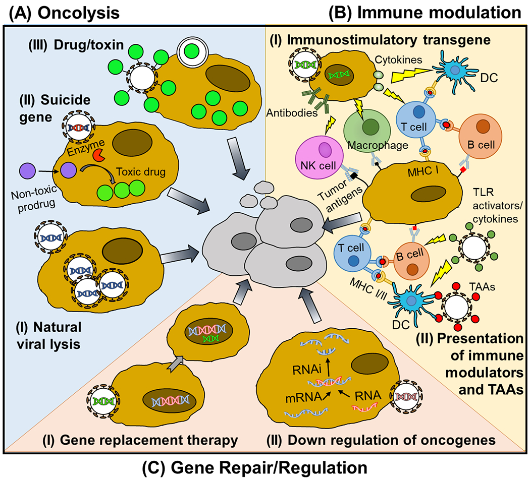 Figure 3: