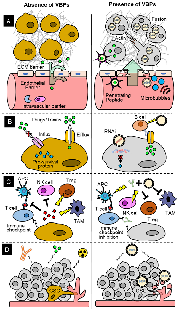 Figure 4: