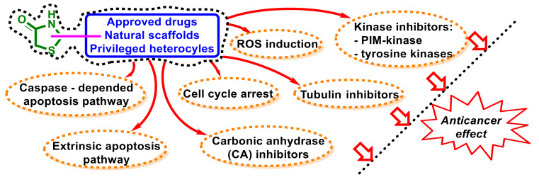 Figure 30