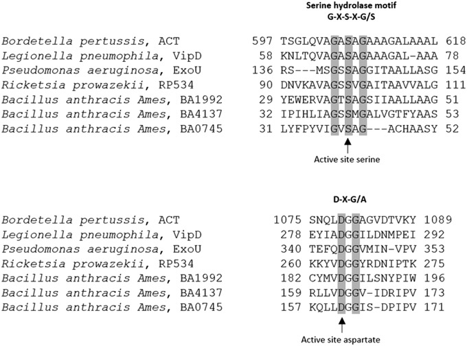 Fig. S4.