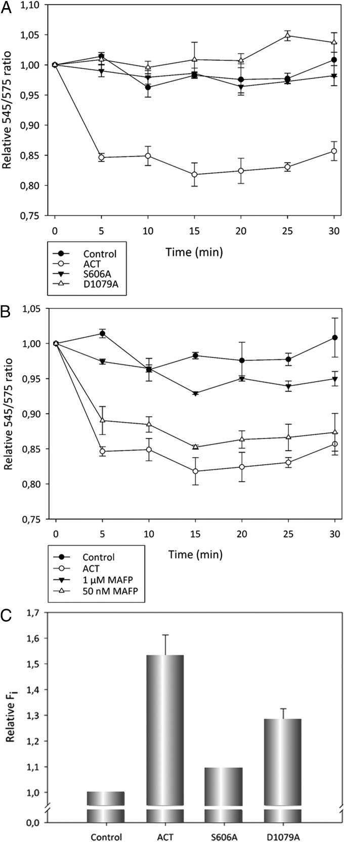 Fig. 7.