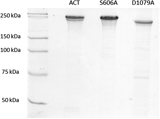 Fig. S6.