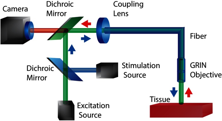 Fig. 5