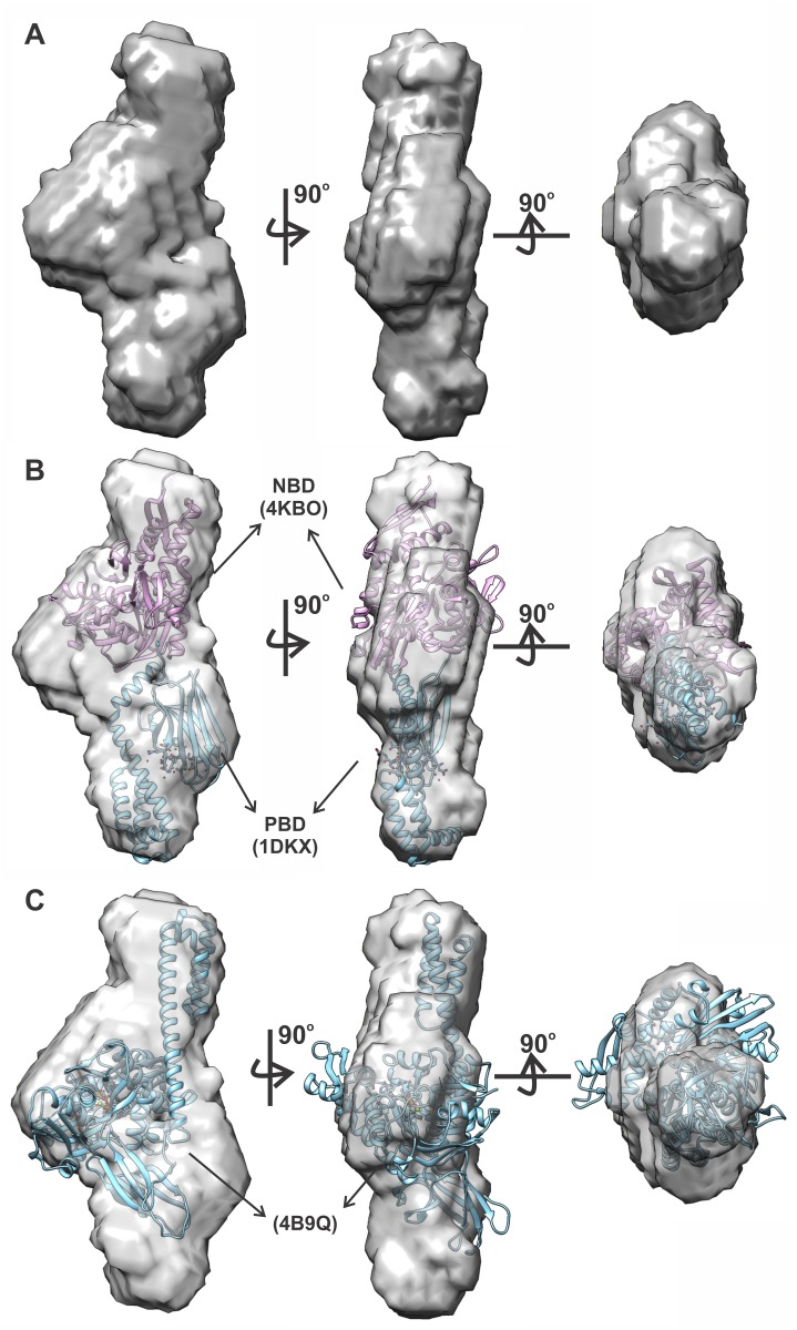 Fig 7