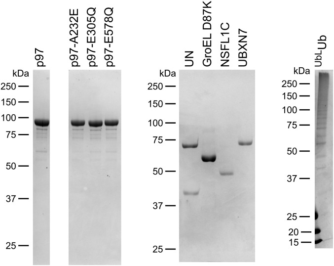 Fig. S2.