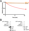 Fig. S3.