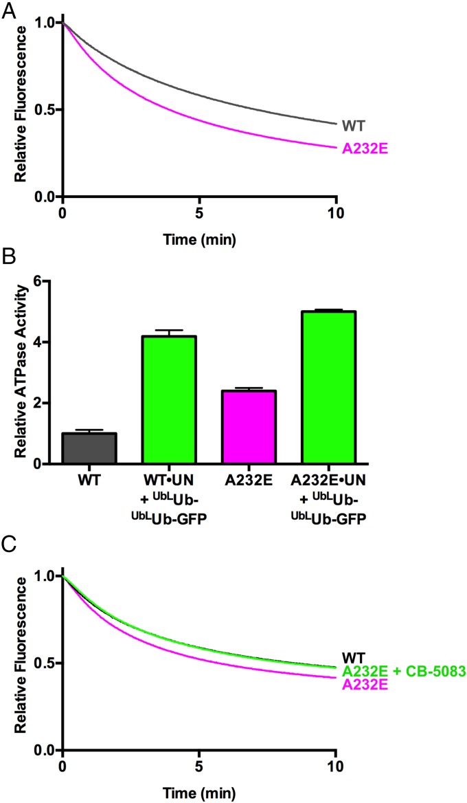 Fig. 6.