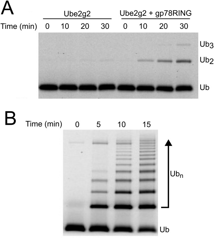 Fig. S1.