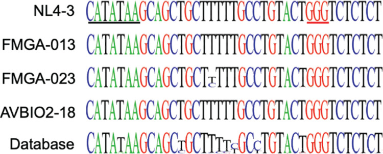 Conservation of sequence aligned for NL4-3, FMGA-013, FMGA-023, AVBIO2-18, and sequences from database with color-coded nucleotides highlighting conserved regions. Variations are marked by underlined or shifted bases in specific sequences.