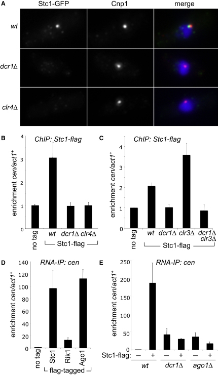 Figure 4