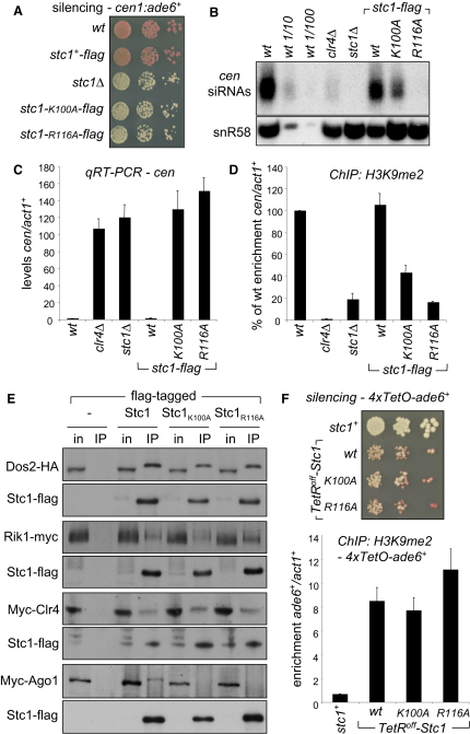 Figure 6