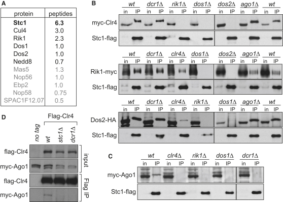 Figure 3