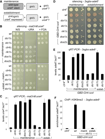 Figure 2