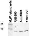 FIG. 6