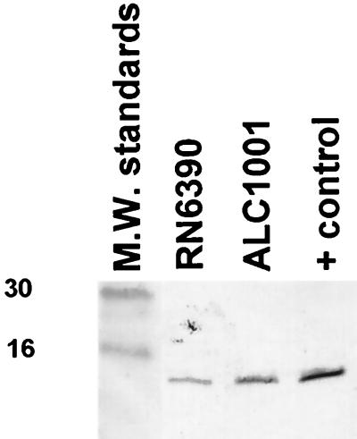 FIG. 6