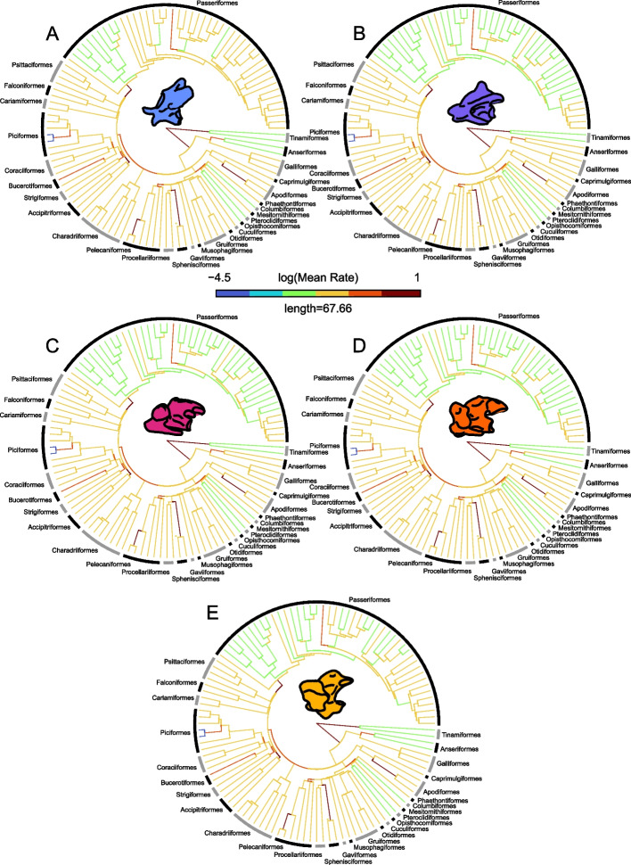 Fig. 4