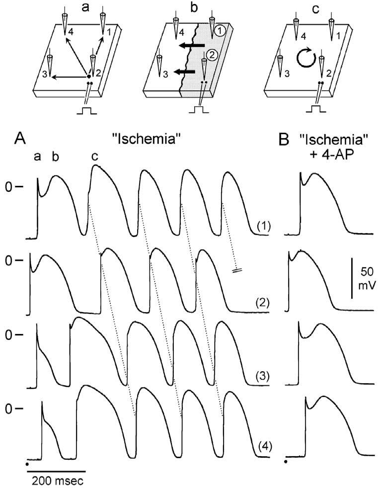 Fig 7