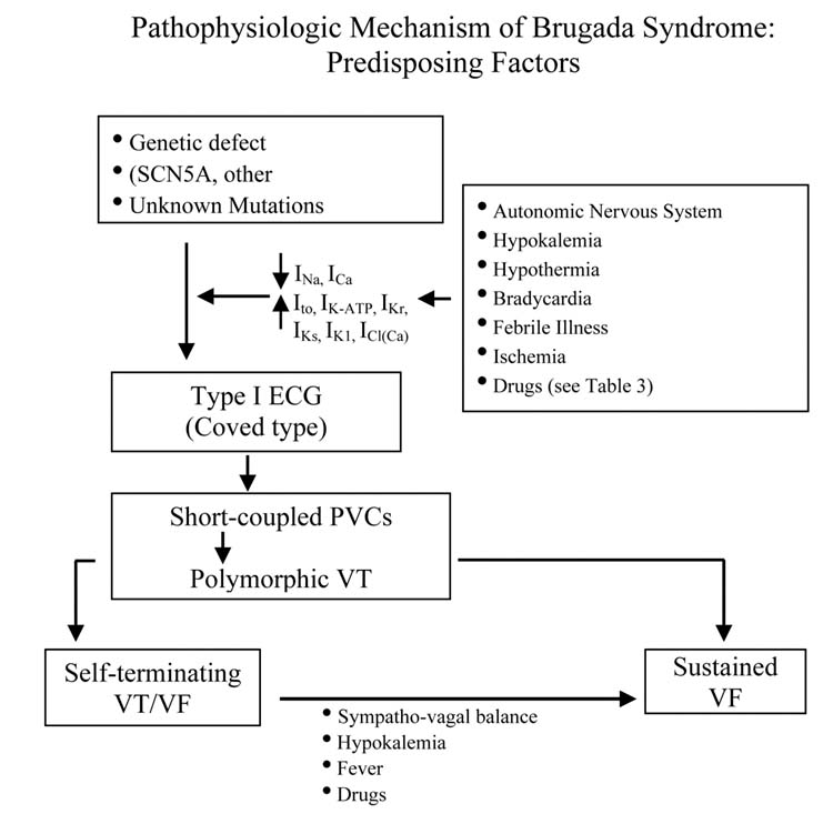 Fig 15