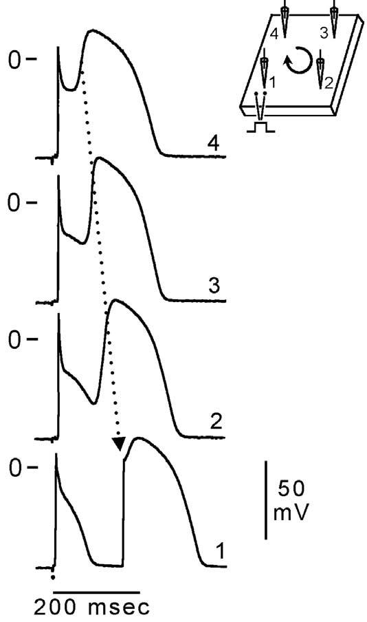 Fig 6