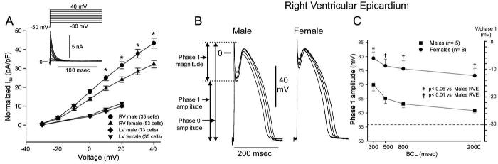 Fig 13