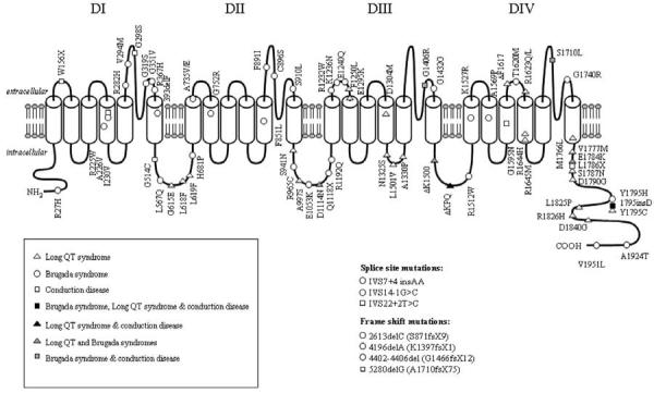 Fig 4