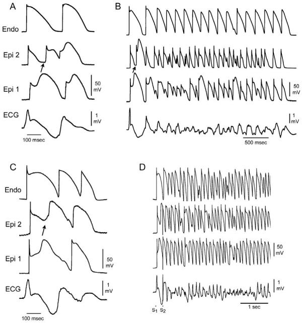 Fig 10