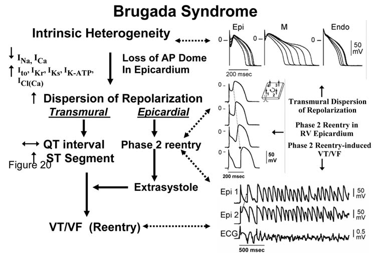 Fig 14