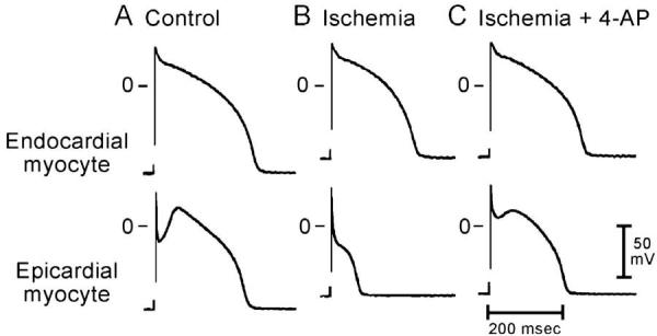 Fig 5