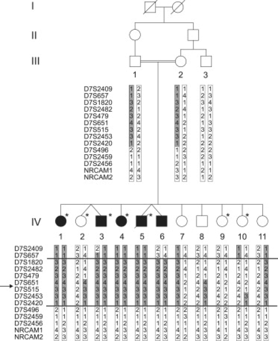 Figure 1