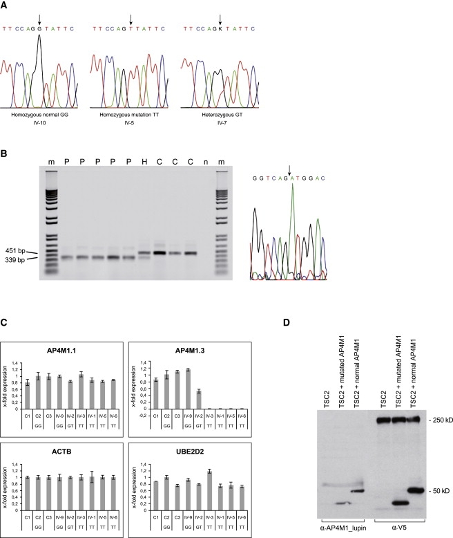 Figure 3