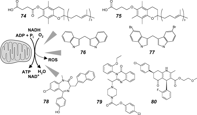 FIG. 15.