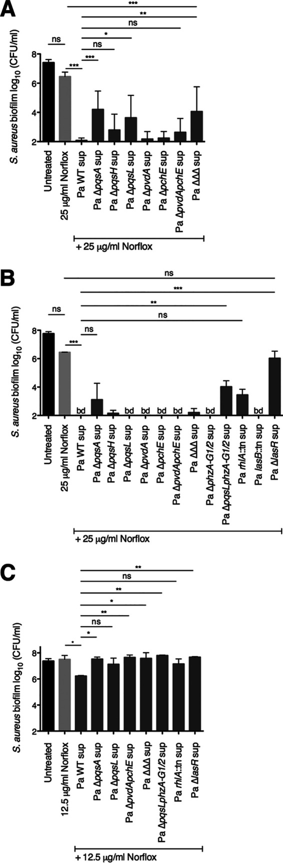 FIG 2