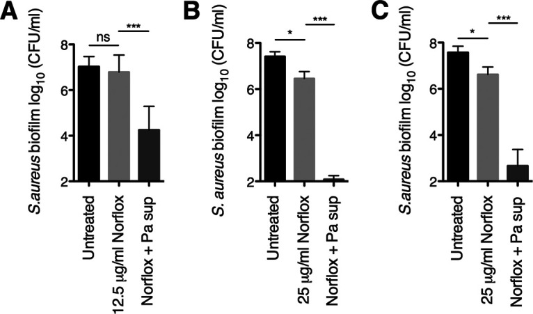 FIG 1