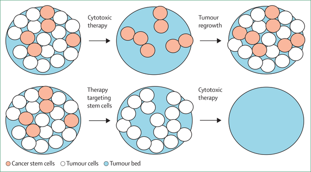 Figure 6: