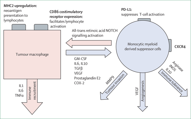 Figure 4: