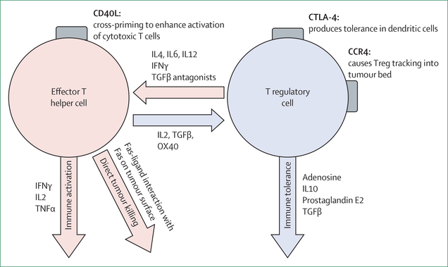 Figure 5: