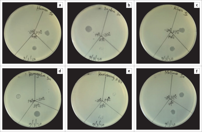 FIGURE 4