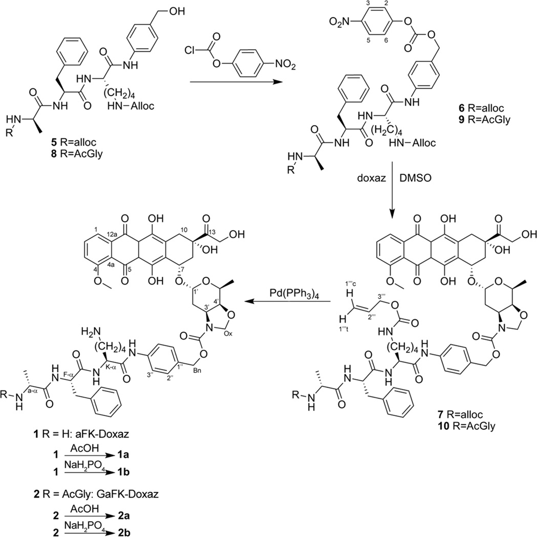 Scheme 4